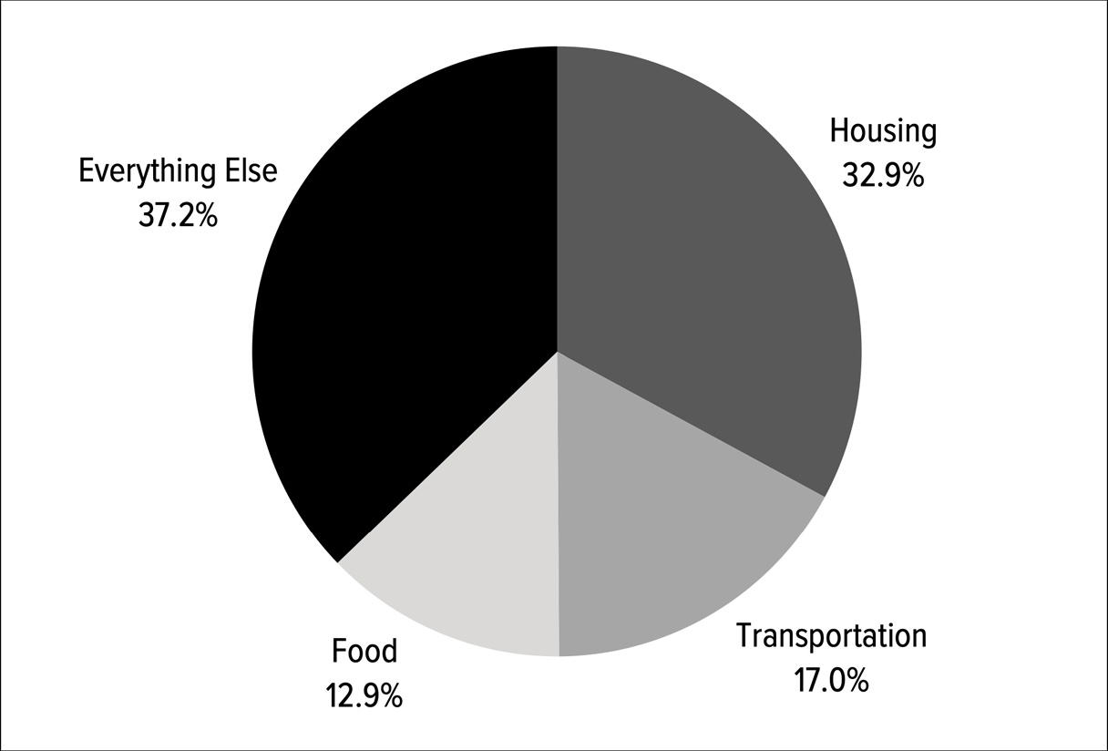 Figure 4.1: How Americans spend their money