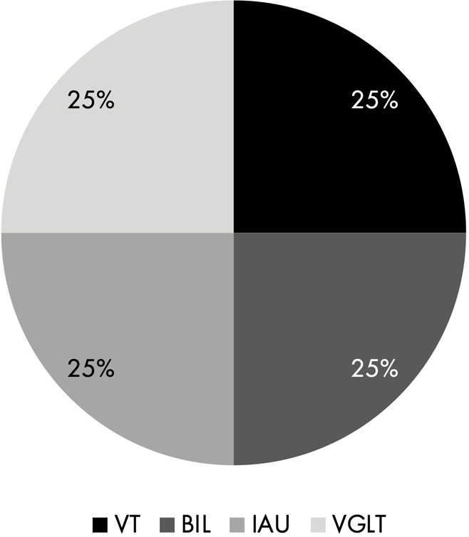 A pie chart consists of four equal sections, each labeled ‘25 percent.’ The sections correspond to VT, BIL, IAU, and VGLT.