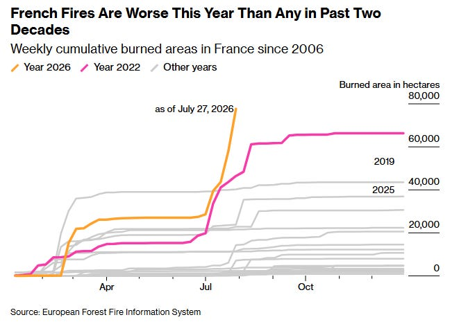 French Fires Are Worse This Year Than Any in Past Two Decades