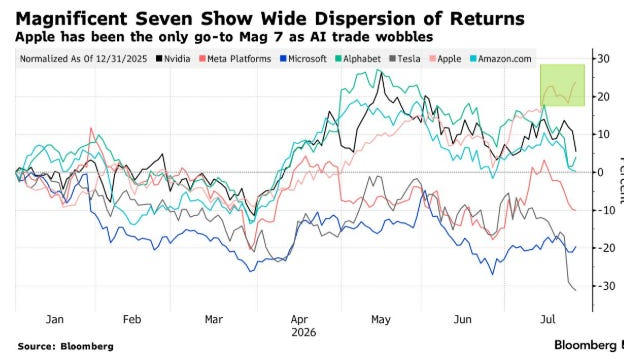 Magnificent Seven Show Wide Dispersion of Returns