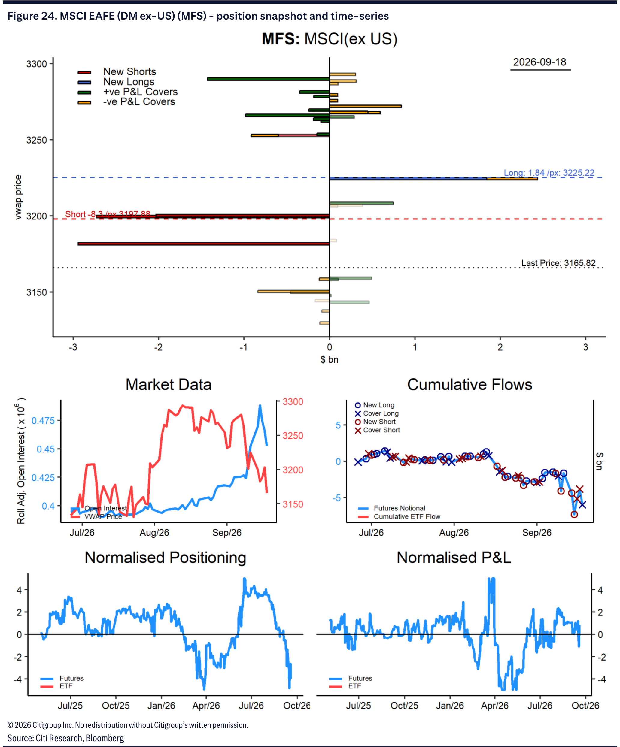 Figure 24. MSCI EAFE (DM ex-US) (MFS) - position snapshot and time-series