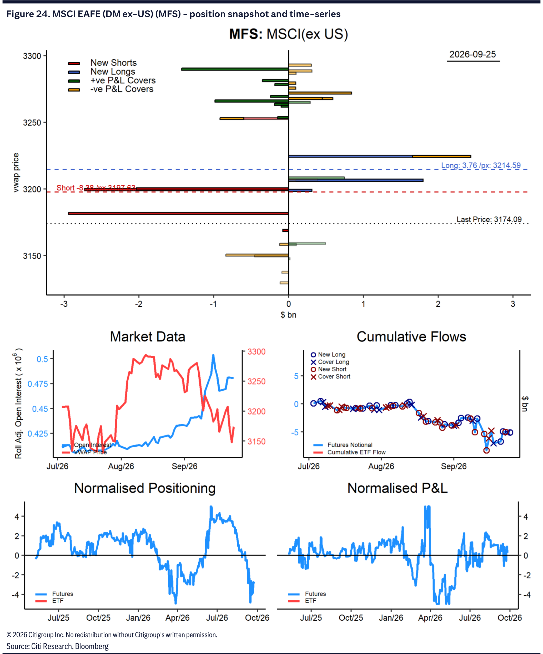 Figure 24. MSCI EAFE (DM ex-US) (MFS) - position snapshot and time-series