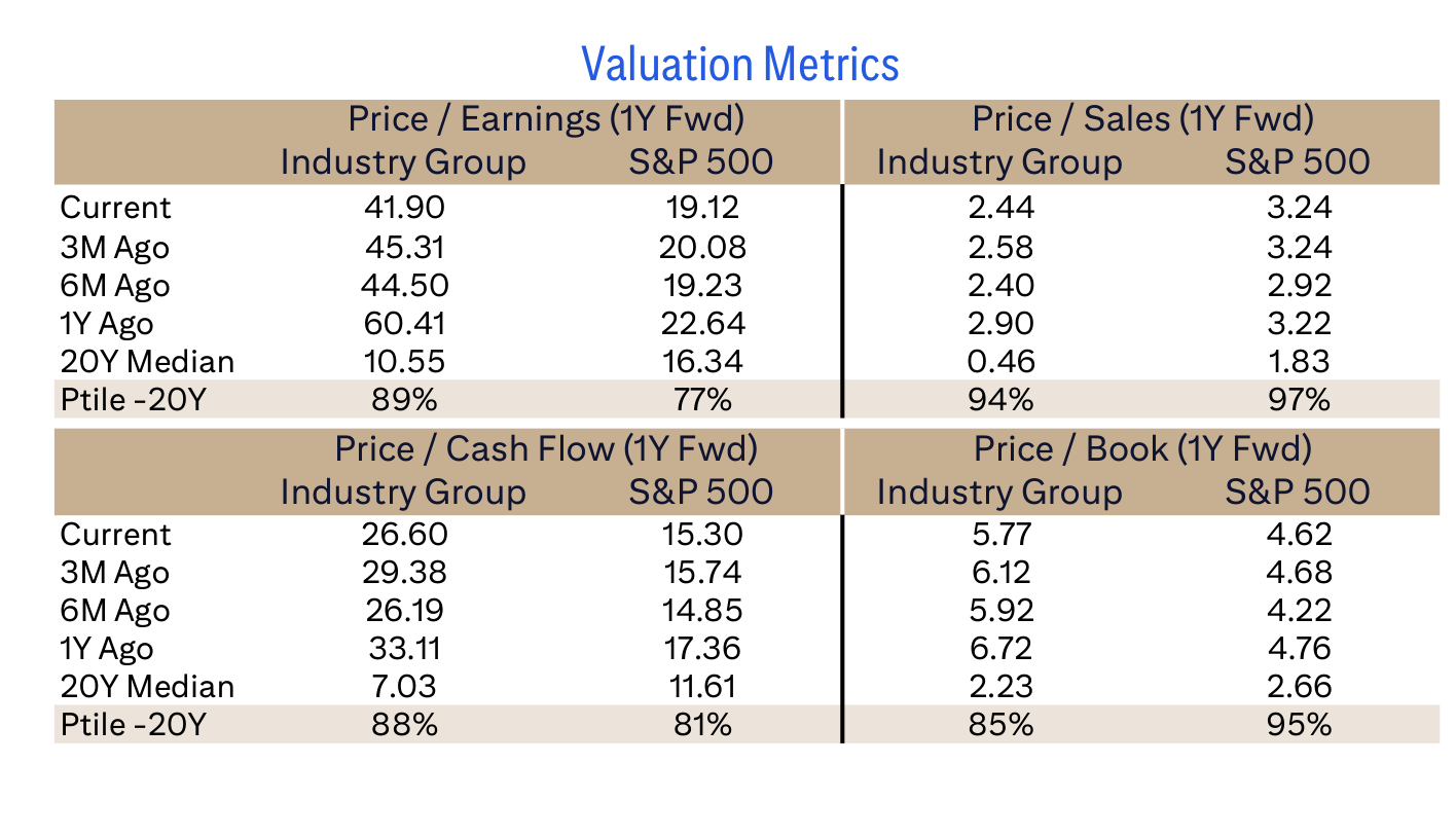 Valuation Metrics