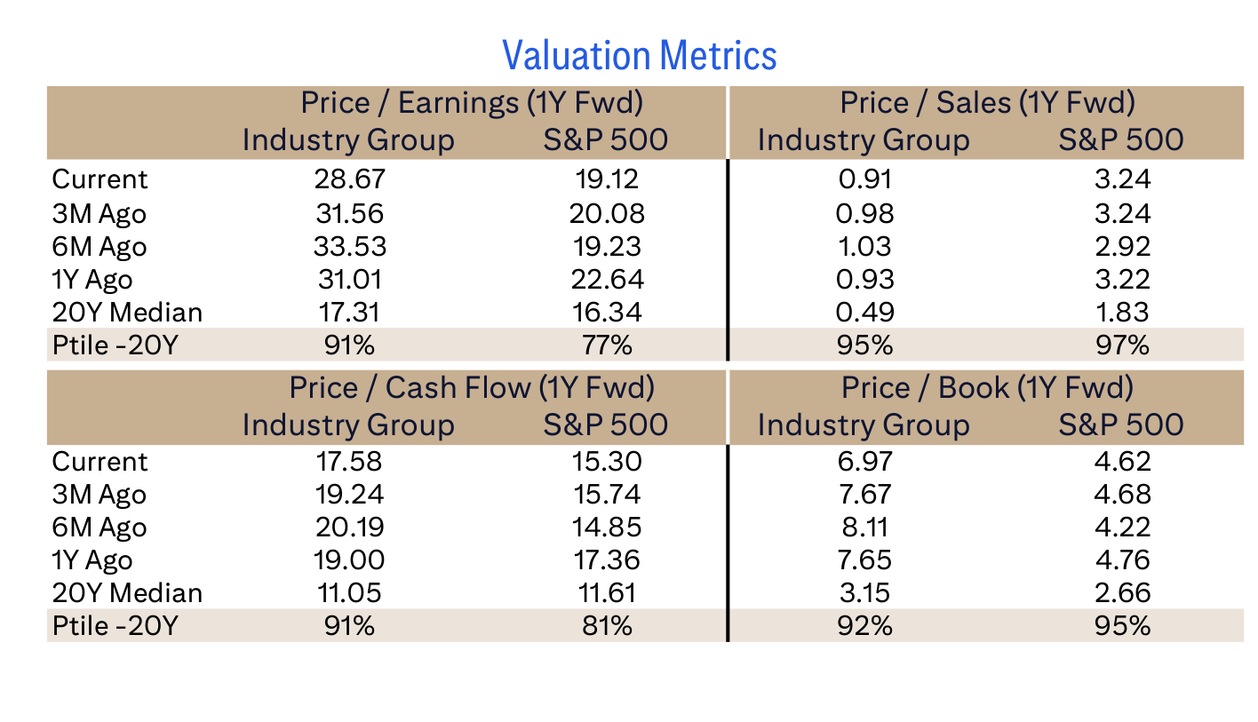 Valuation Metrics