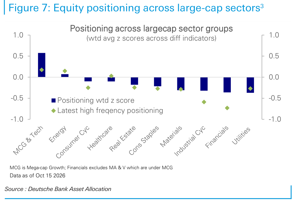 Equity positioning across large-cap sectors3