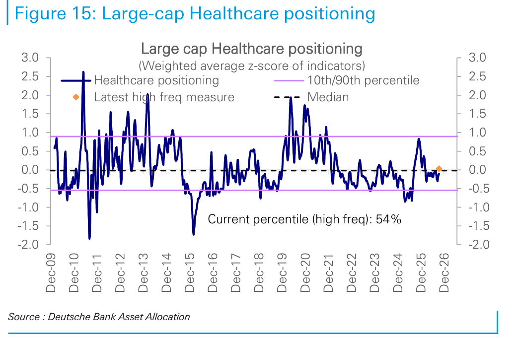 Large-cap Healthcare positioning