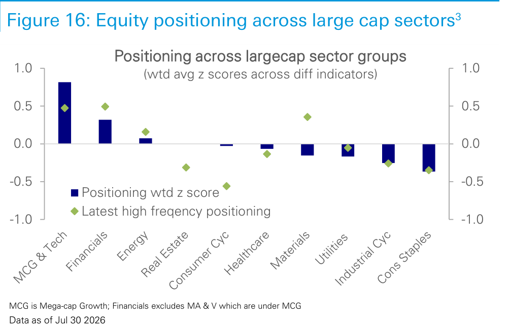 Figure 16. Equity positioning across large cap sectors3