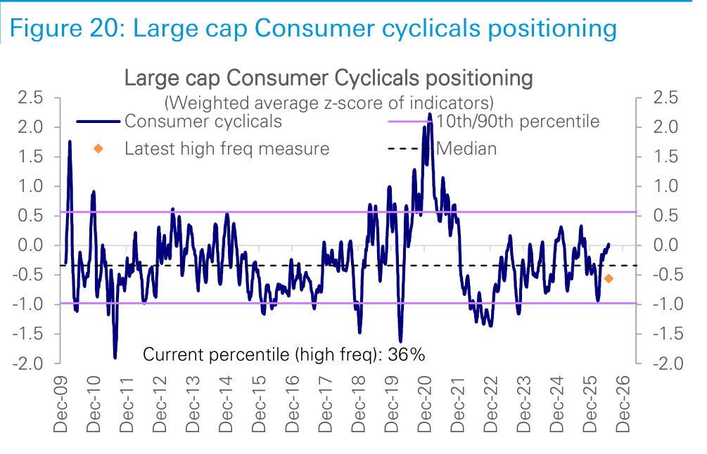 Figure 20. Large cap Consumer cyclicals positioning