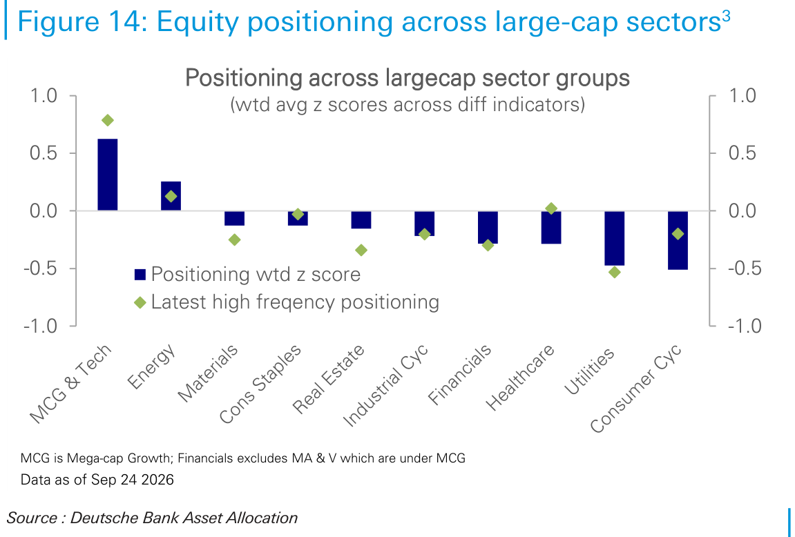 Equity positioning across large-cap sectors3