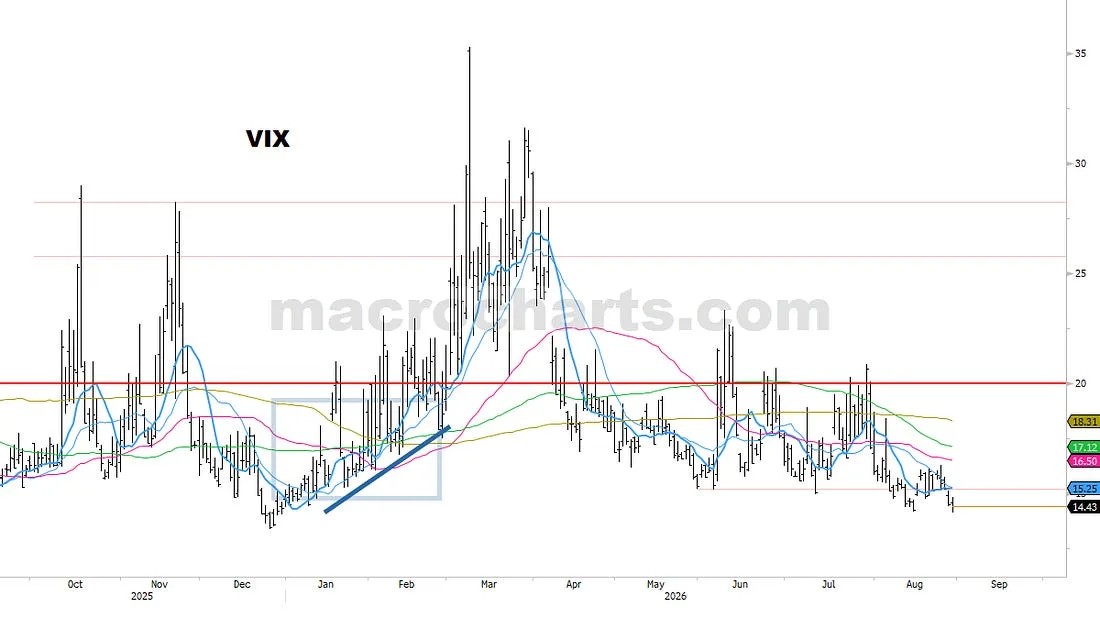 VOLATILITY (21)