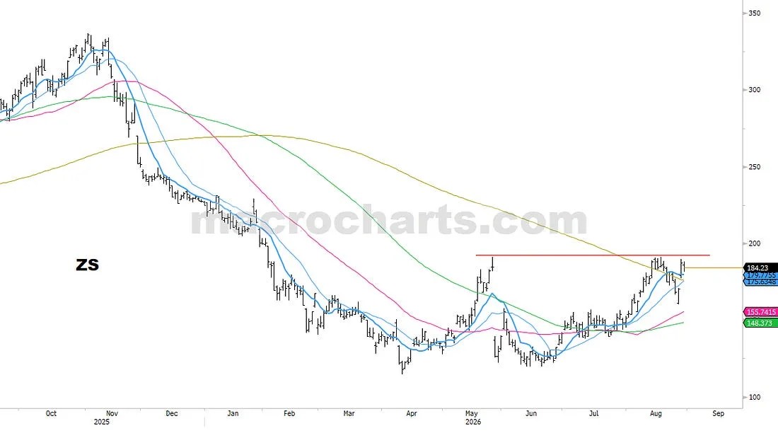 PORTFOLIO NOTES (54)