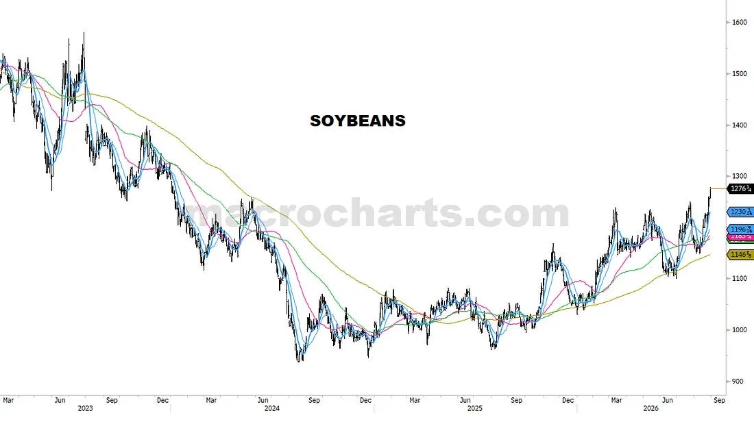 PORTFOLIO NOTES (56)