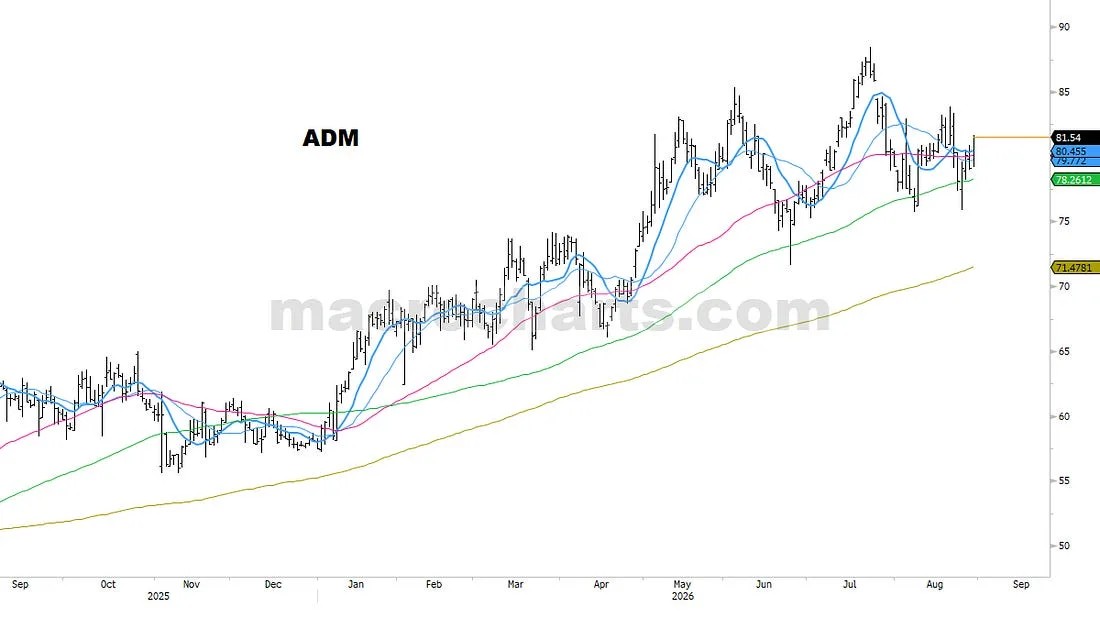 PORTFOLIO NOTES (60)