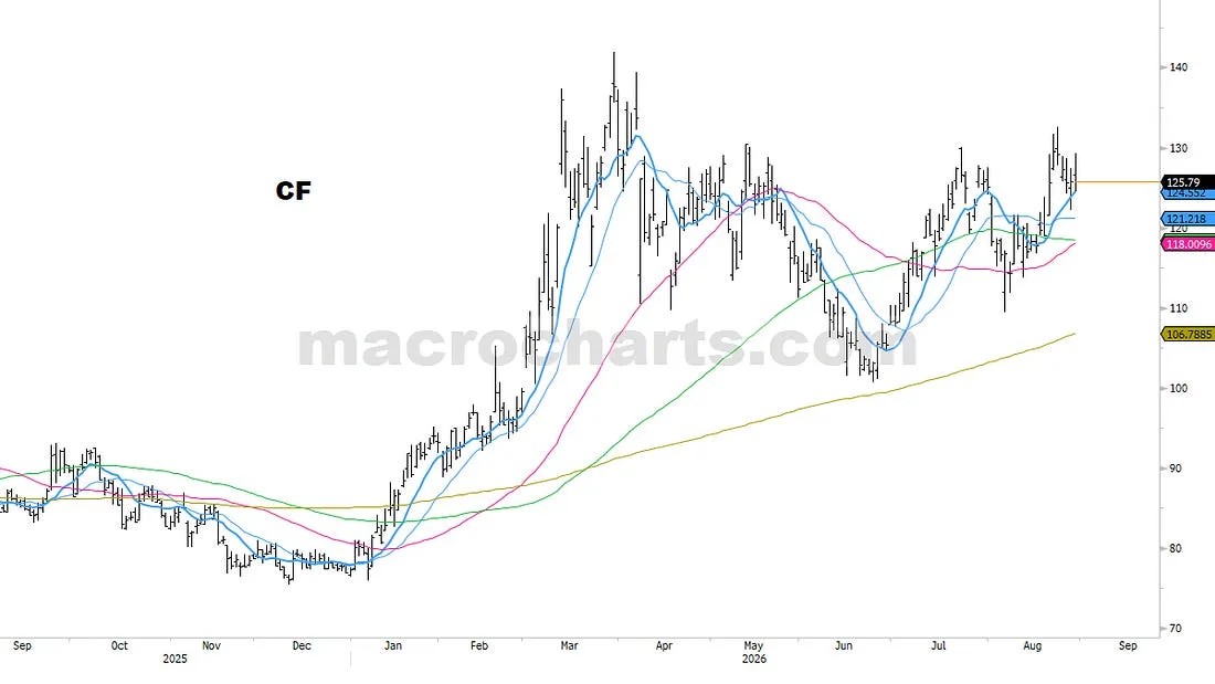 PORTFOLIO NOTES (61)