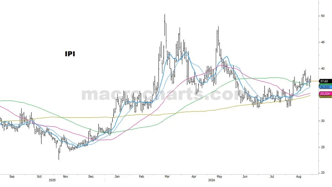 PORTFOLIO NOTES (63)