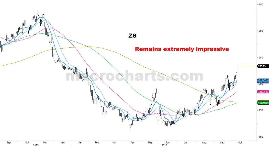 ZS