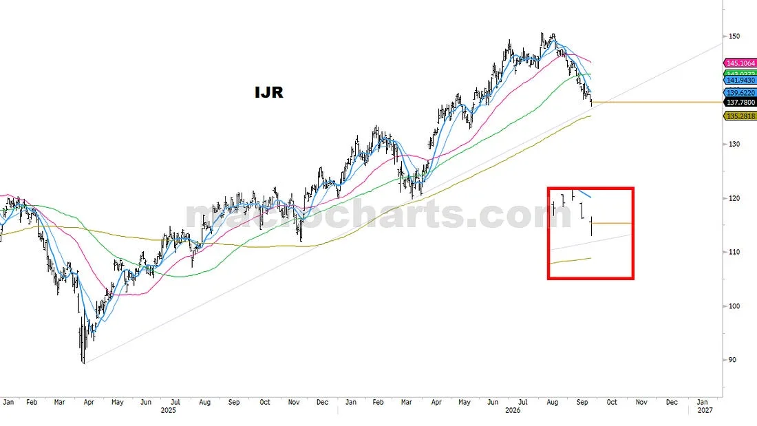 IJR