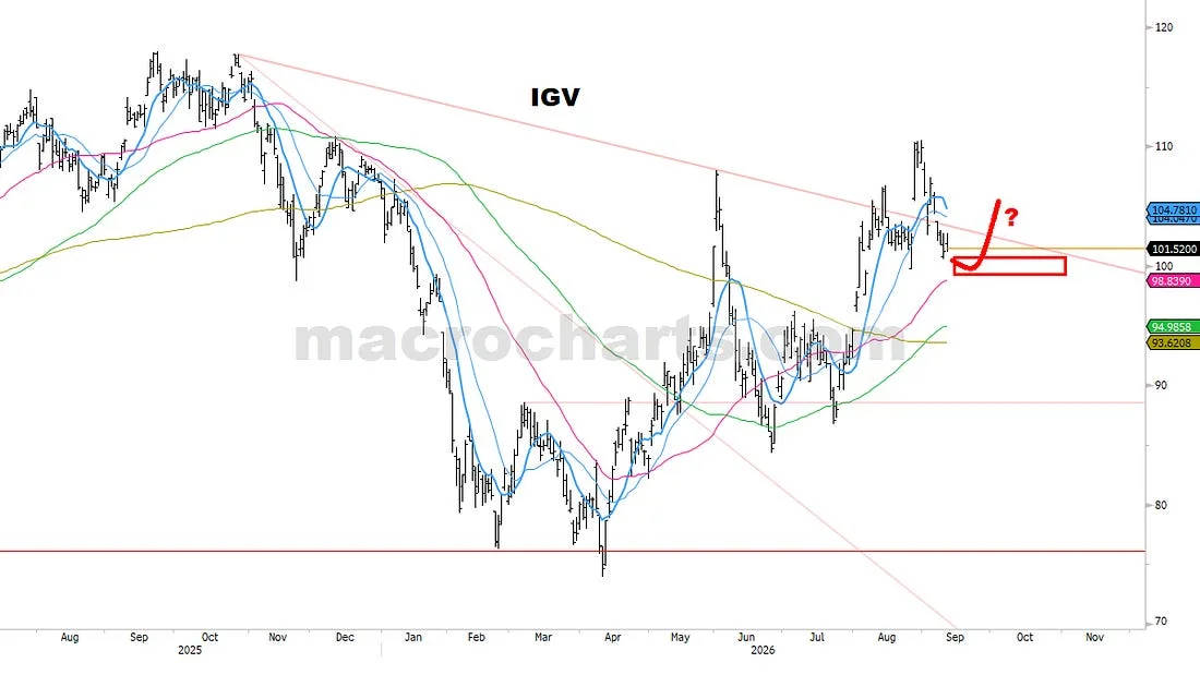 IGV