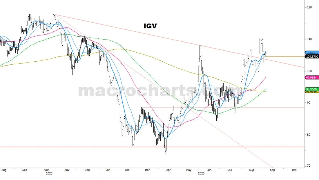 IGV