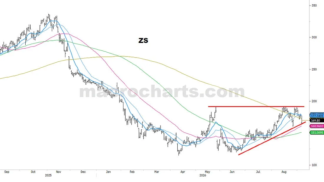 ZS