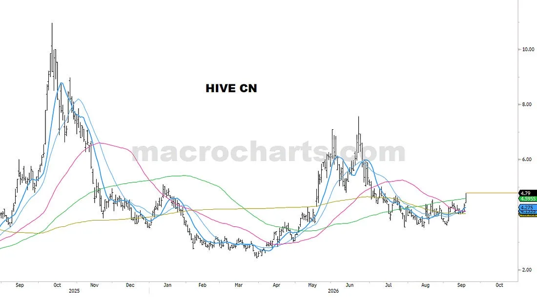 HIVE