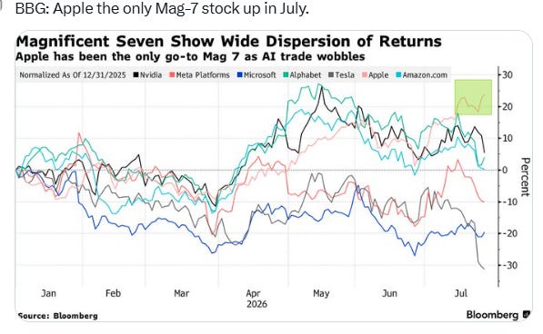 Magnificent Seven return dispersion