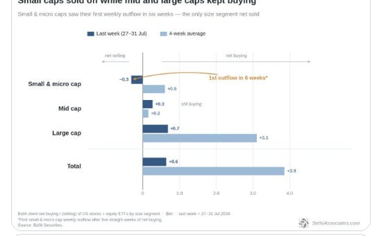 Small-cap and large-cap equity flows