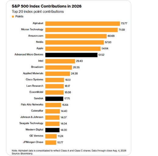 S&P 500 year-to-date contributors