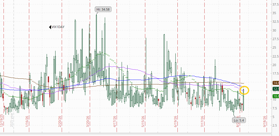 1-day VIX