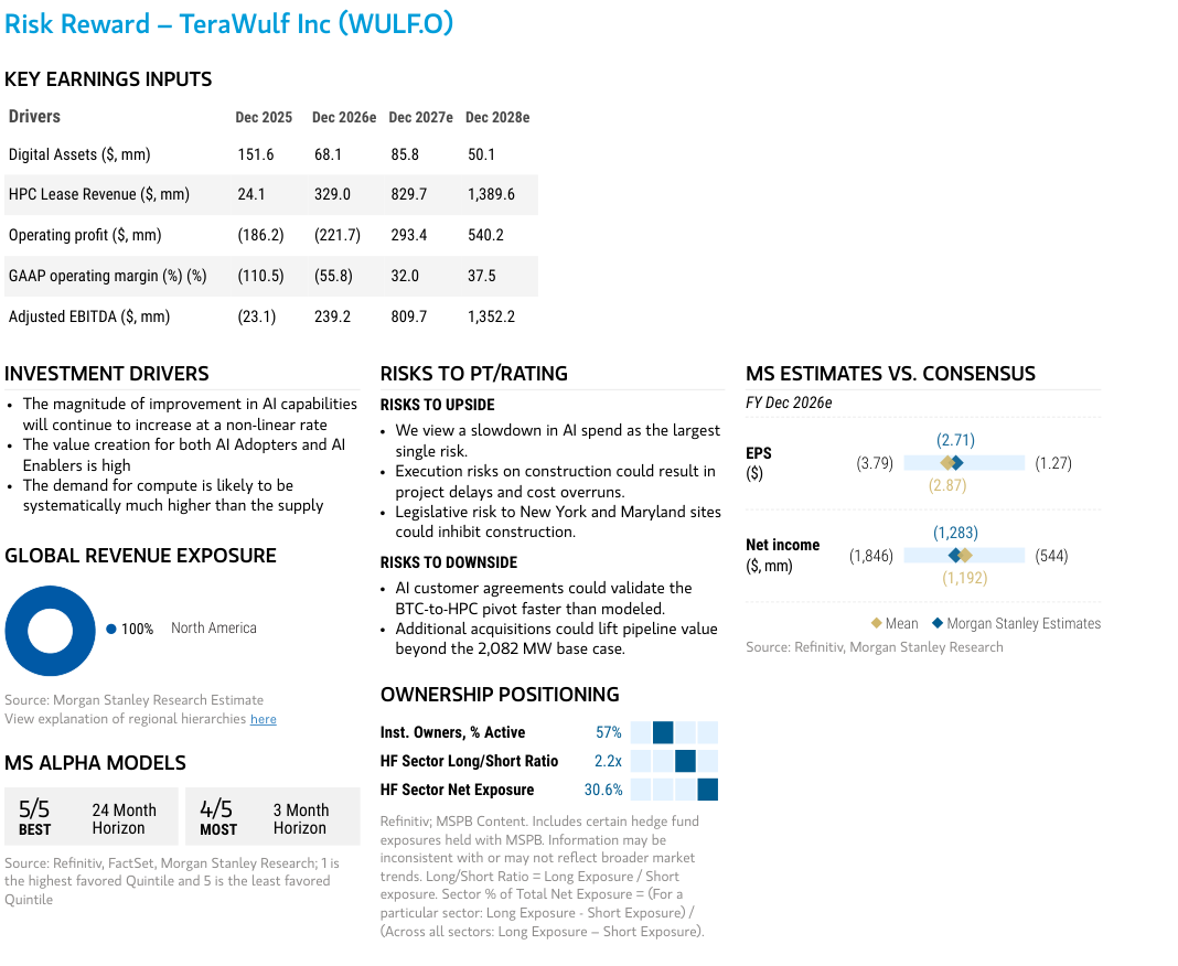Key earnings inputs, investment drivers and Morgan Stanley estimates versus consensus for WULF.O.