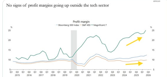 Apollo profit margins for the Magnificent 7, Bloomberg 500, and S&P 493