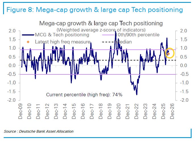 Mega-cap growth and large-cap technology positioning