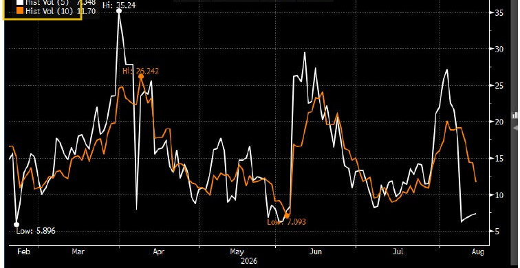 S&P 500 five-day and ten-day historical volatility