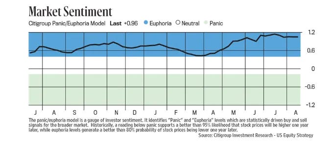 Citigroup panic/euphoria model