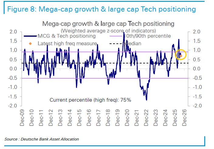 Large-cap Tech positioning